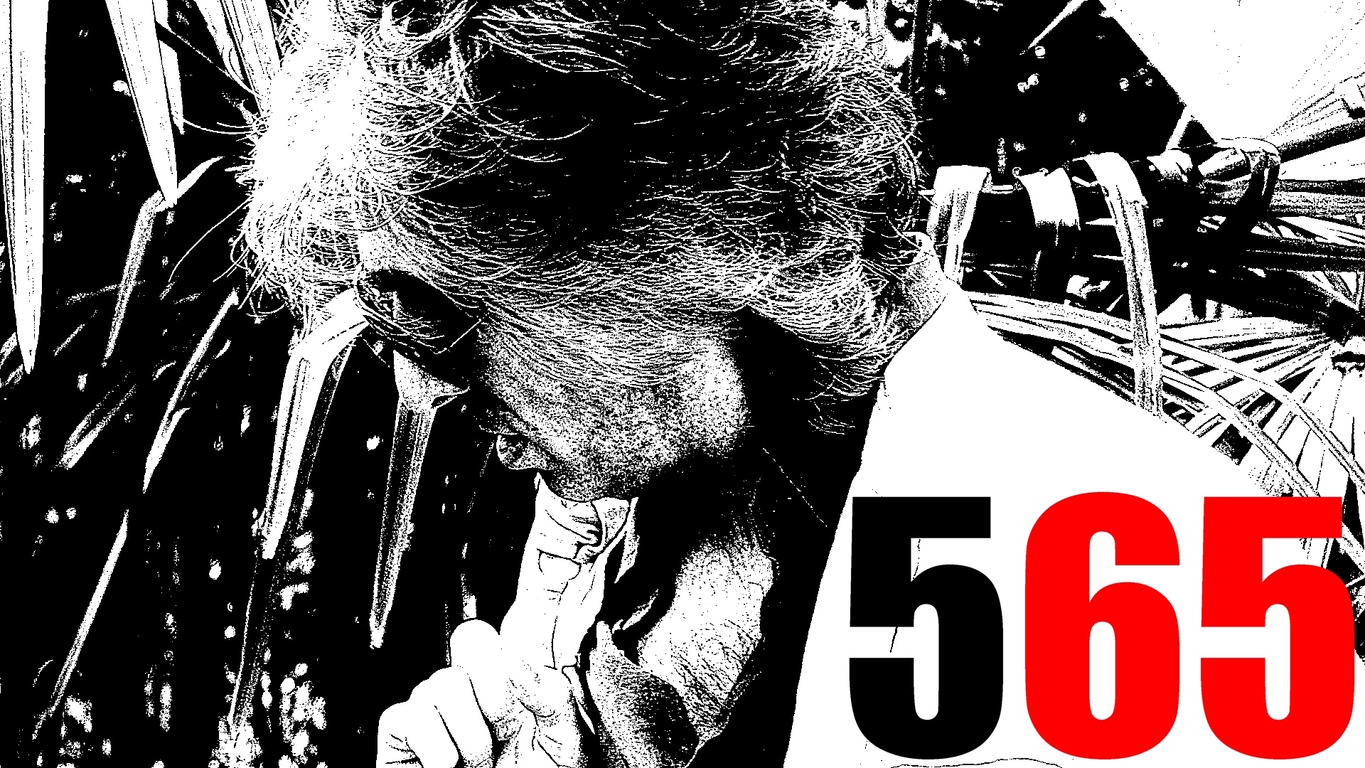 565 Live Party Lounge Music