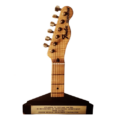 Fender Award Musica Eventi Lounge e Intrattenimento Professionale 565 AgentExpress